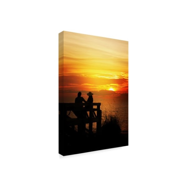 Ata Alishahi 'Sunset Watch' Canvas Art,12x19